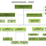 Organograma-IPSEM2
