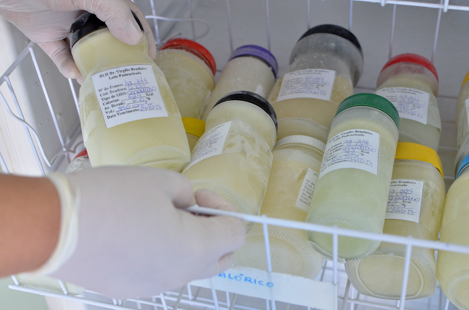 Dia Nacional de Doação de Leite Materno: BLH do Isea coleta 400 litros no primeiro trimestre