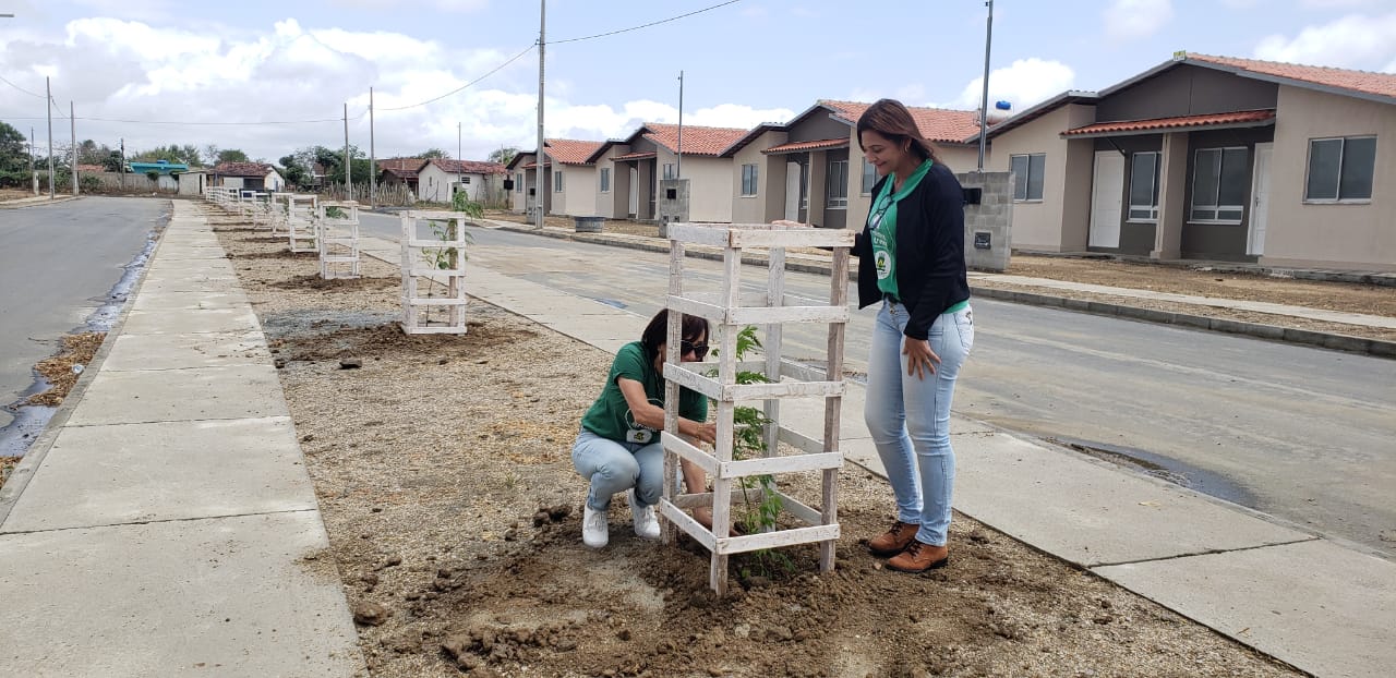 Prefeitura de Campina Grande comemora dia da árvore com ações em vários pontos da cidade