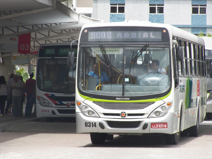 STTP ajusta operação de ônibus na linha 900 aos domingos e feriados