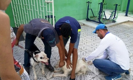 Secretaria de Saúde realiza dia D de vacinação antirrábica neste sábado
