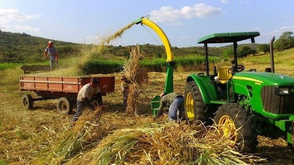 Avanços na agricultura garantem elevação da produtividade e  melhoria da qualidade de vida na zona rural de Campina  em 2018