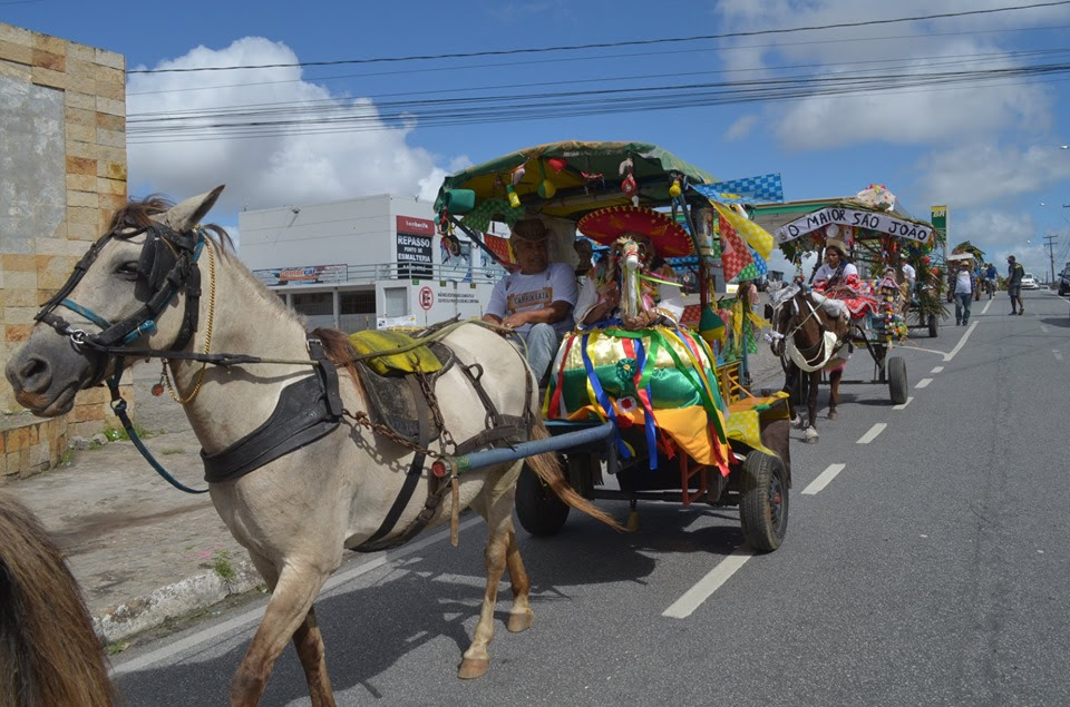 Carroceata Junina reuniu mais de vinte carroceiros nas ruas de Campina Campina Grande