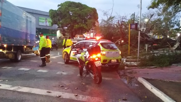 STTP alerta condutores sobre cuidados no trânsito em dias chuvosos. Equipes de agentes estão monitorando principais vias