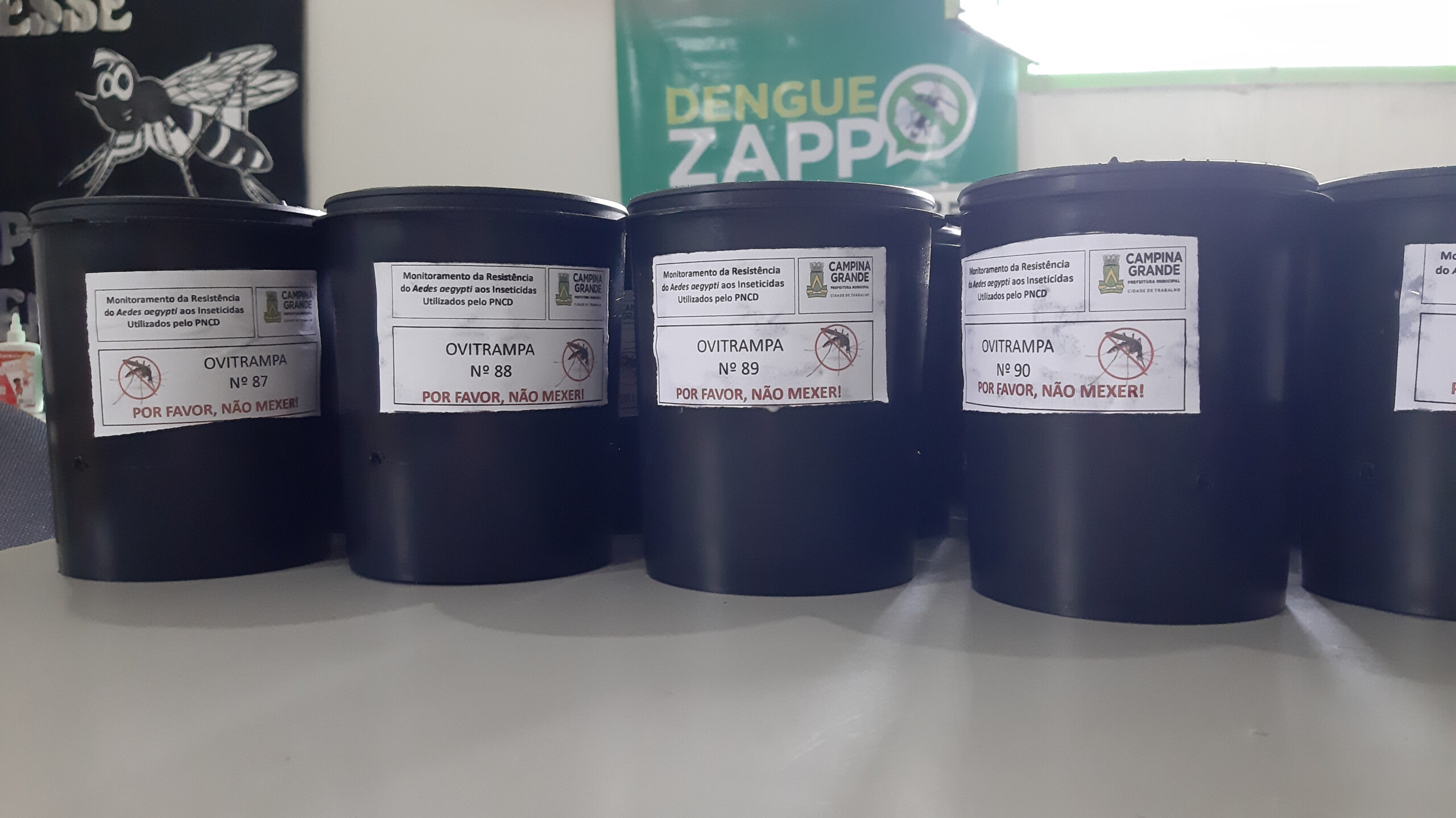 Secretaria de Saúde inicia estratégia inovadora para monitorar e combater Aedes aegypti