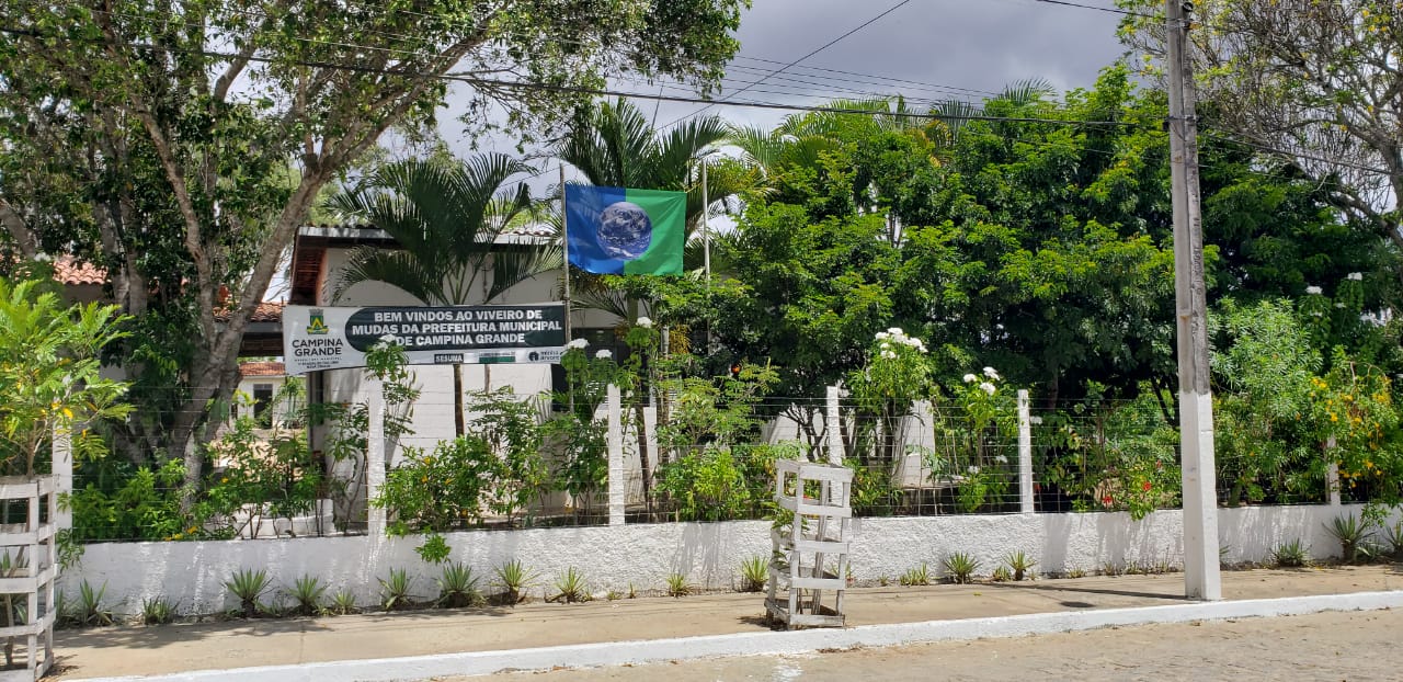 Viveiro Municipal de Campina Grande produz até seis mil mudas por mês