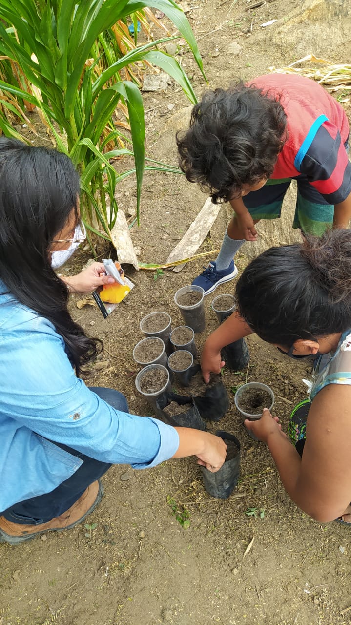 Prefeitura inicia plantação de horta comunitária para ampliar a alimentação dos venezuelanos da comunidade Warao