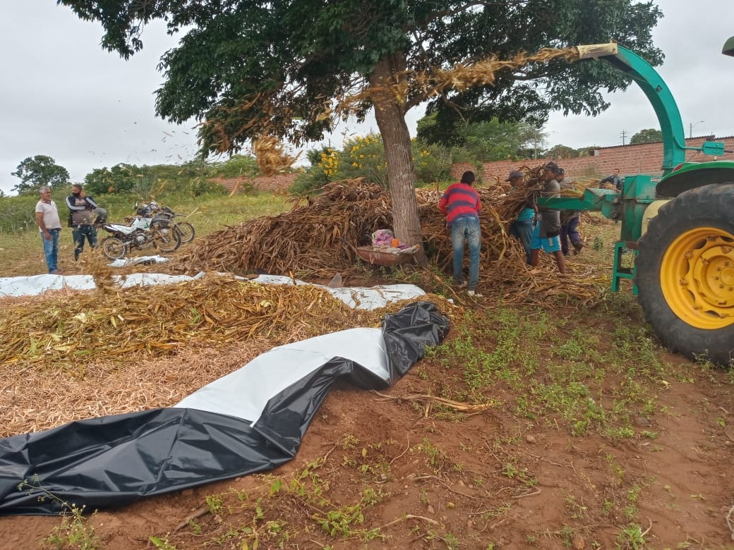 Prefeitura já produziu quase 2 mil toneladas de silagem na zona rural de Campina Grande
