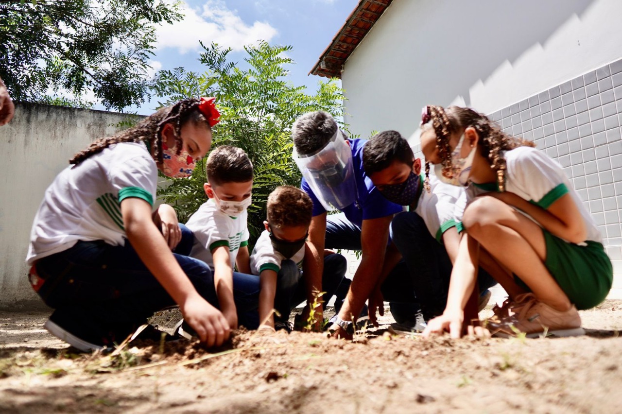 Dia da Árvore: Seduc realiza doação de mudas frutíferas em escola da Rede Municipal
