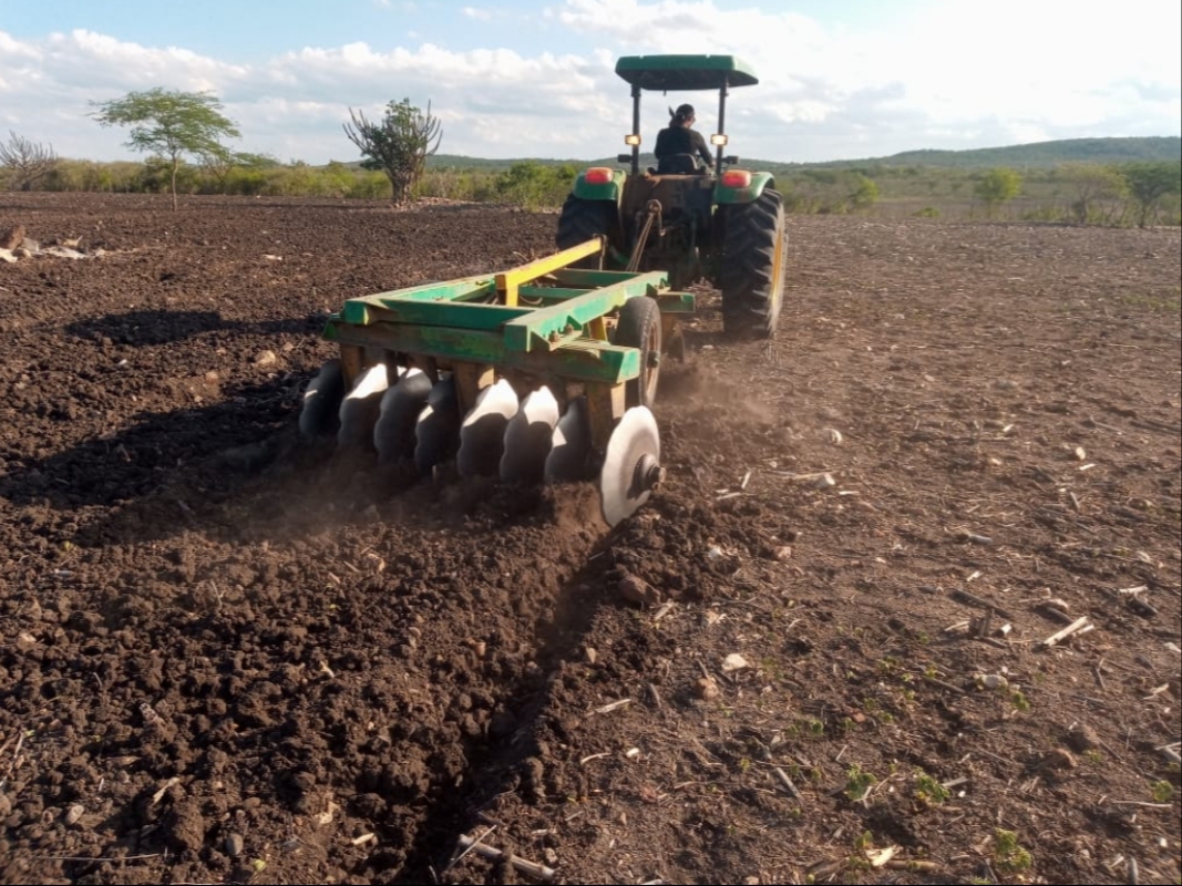 INCENTIVO À PRODUÇÃO: Prefeitura garante ajuda aos agricultores familiares, com preparação do solo para plantio da safra 2022