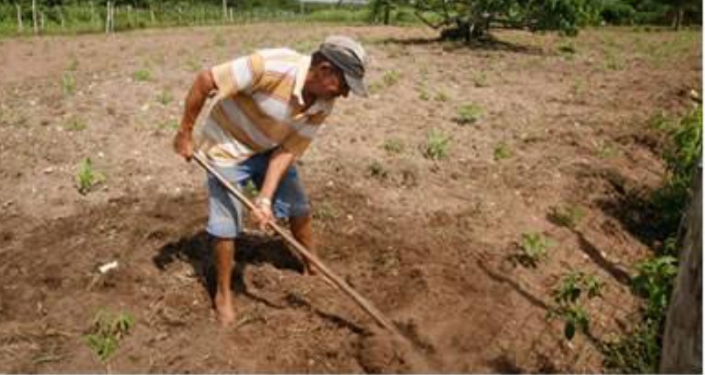 GARANTIA-SAFRA: Prefeitura alerta agricultores sobre prazos para entrega de boletos e pagamento da taxa de adesão ao programa