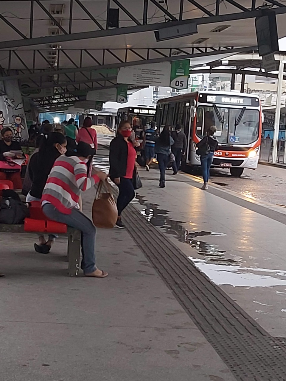 STTP define frota especial de transporte coletivo nesta quinta-feira, feriado de Nossa Senhora da Conceição