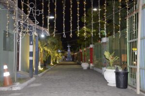 Com árvore de cinco metros e carruagem iluminada, decoração natalina da Vila do Artesão chama atenção dos visitantes
