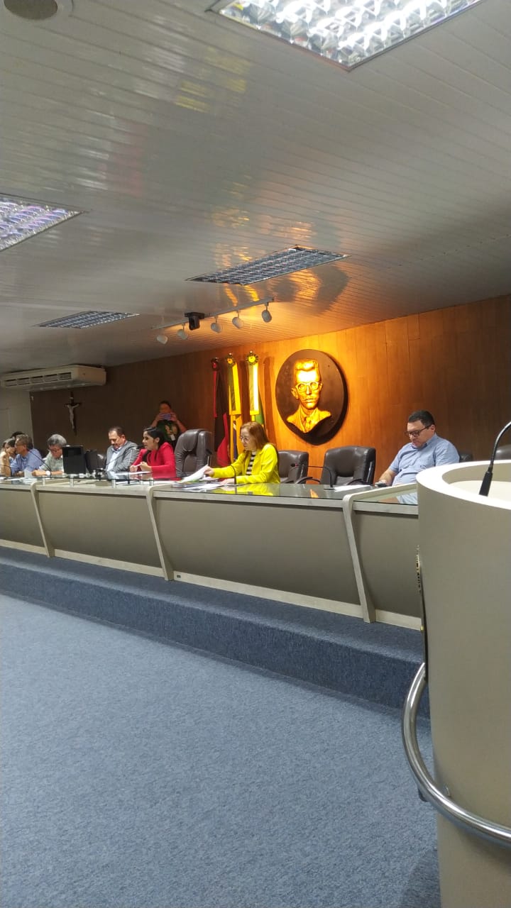 Agência Municipal de Desenvolvimento apresenta planos para 2024 na Conferência da LOA