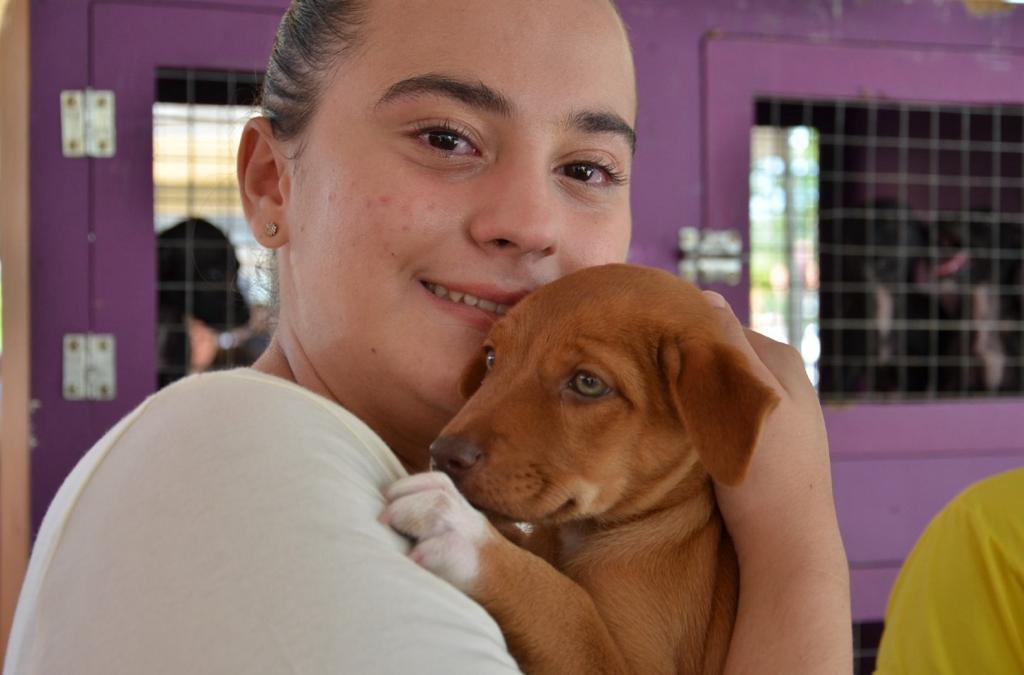 Centro de Zoonoses abre agendamento para castração social nesta sexta-feira