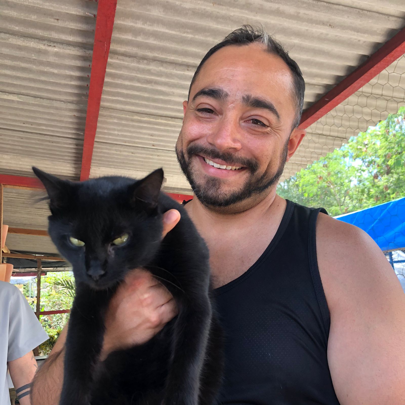 Centro de Zoonoses de Campina Grande começa captura de animais de rua para realizar castração