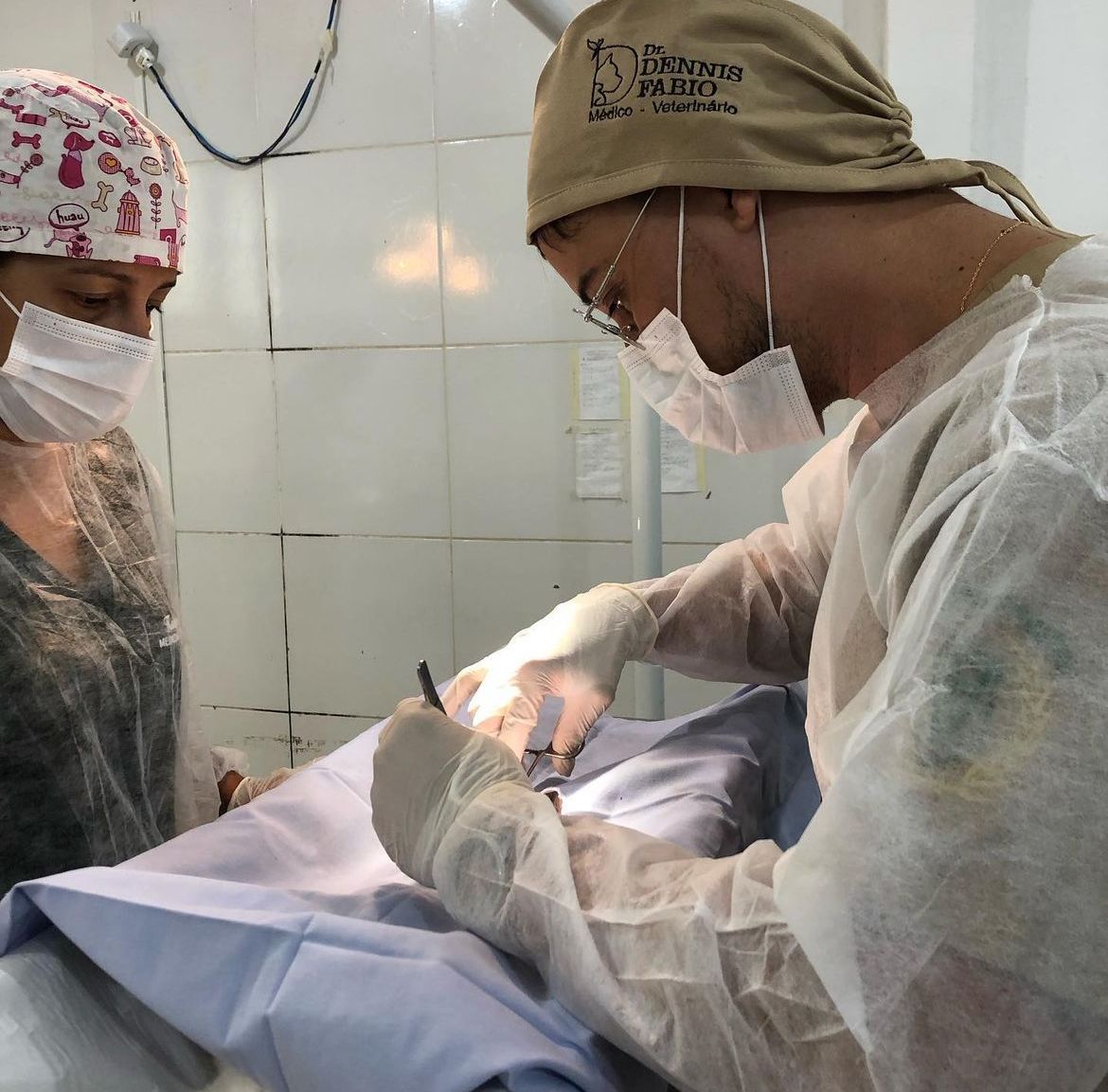 Centro de Controle de Zoonoses de Campina Grande inicia cirurgias de castração de animais de rua