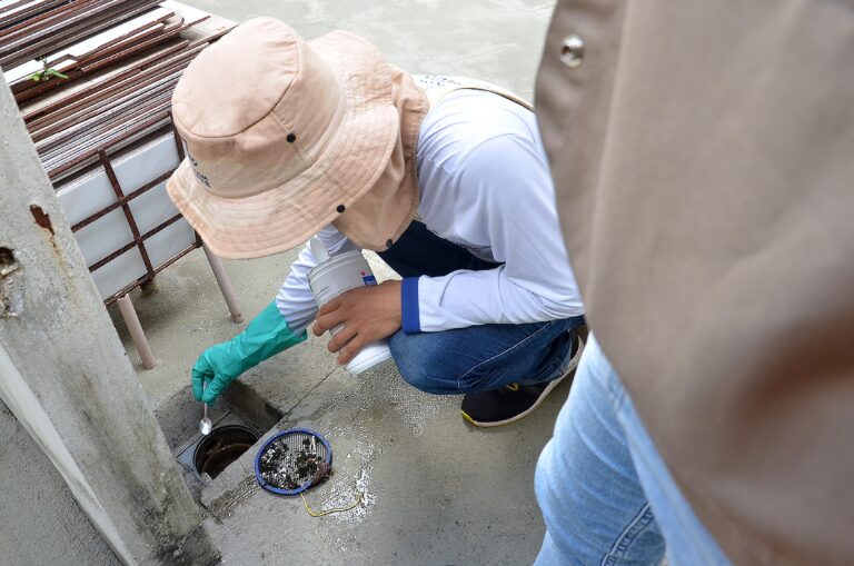 Saúde no Maior São João do Mundo: Vigilância Ambiental faz varredura no Parque do Povo e Vigilância Sanitária capacita comerciantes