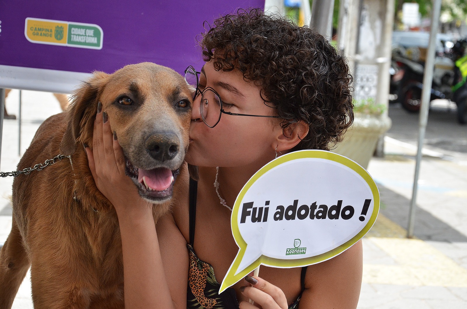 Centro de Zoonoses realiza Dia _D_ de Adoção Responsável em Alusão à Campanha Dezembro Verde