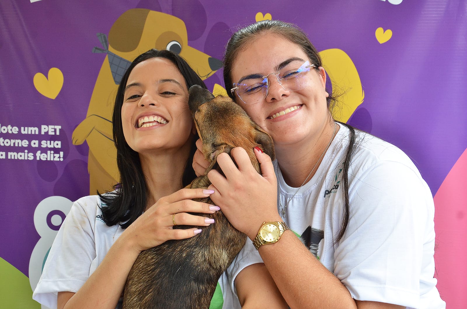 Centro de Controle de Zoonoses da Prefeitura realiza Dia D de Adoção nesta sexta-feira em comemoração ao Dia Nacional dos Animais