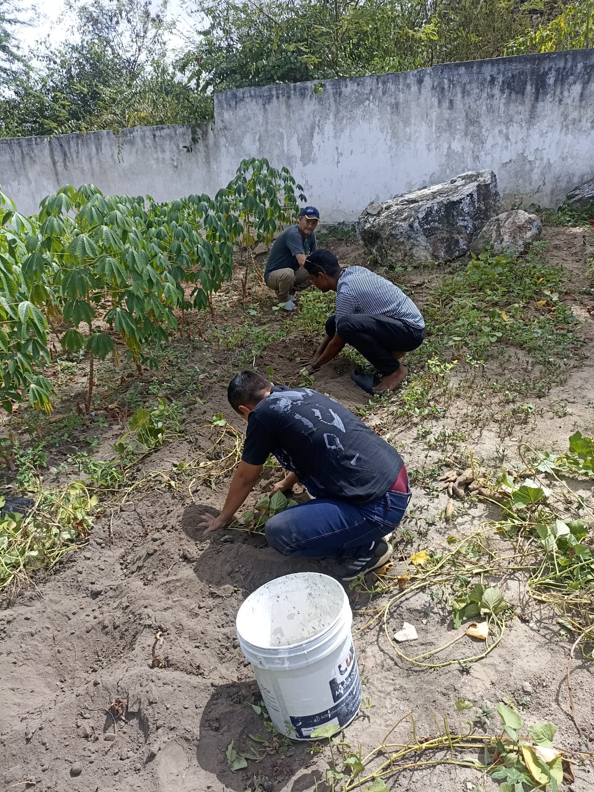 Prefeitura de Campina Grande através da Semas promove Oficinas de compostagem, plantio e colheita no CRIP, antiga Vaca Mecânica