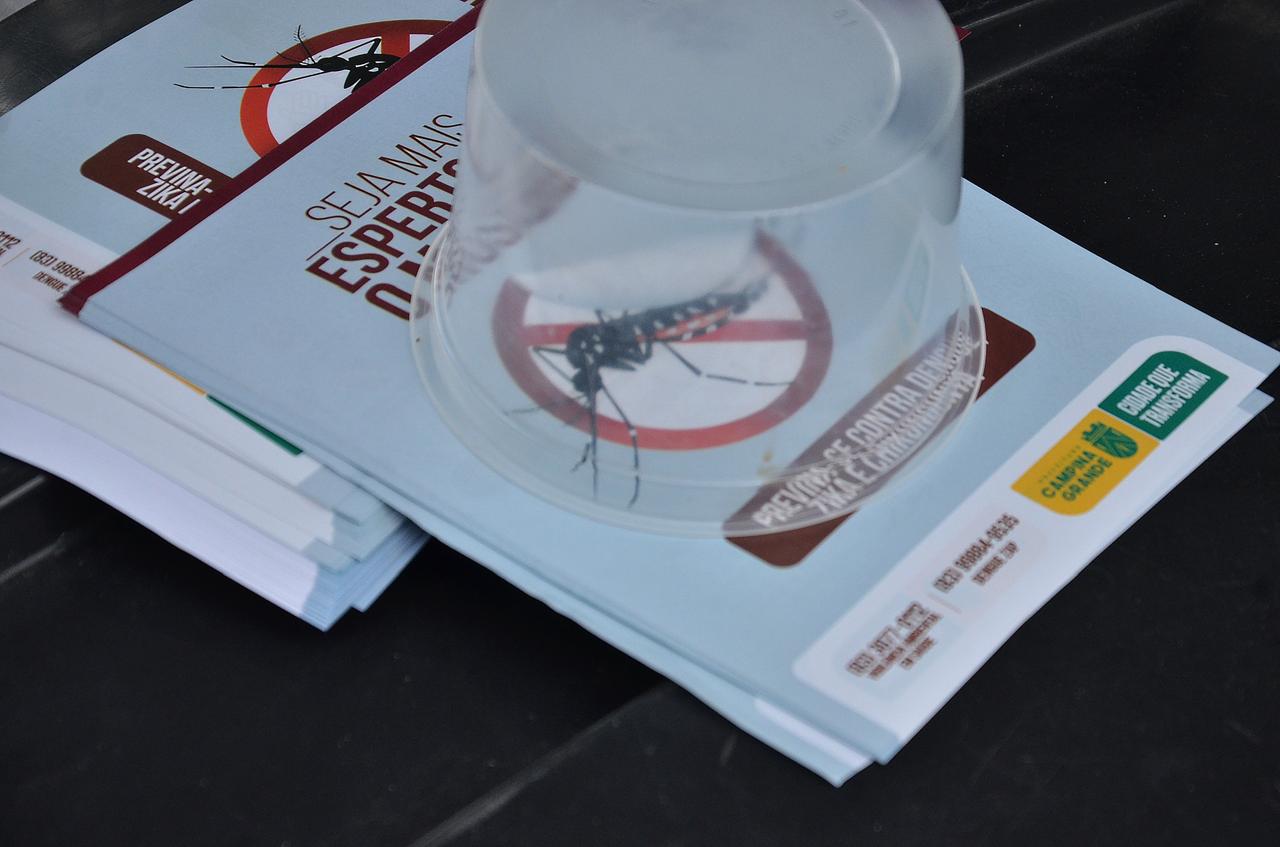 Campina Grande entra em estado de alerta após aumento de focos do Aedes aegypti, aponta 3º LIRAa de 2025