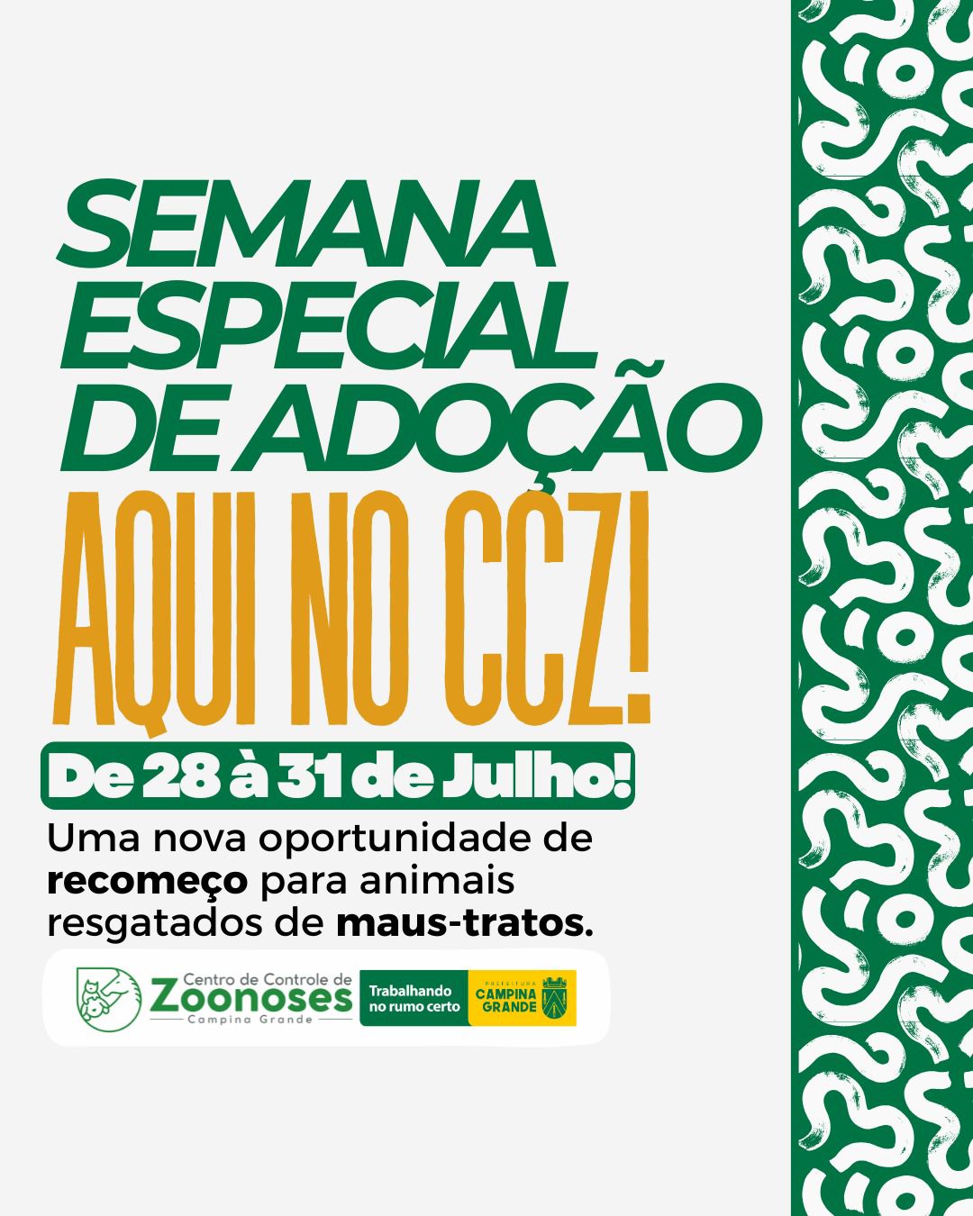 CCZ realiza semana especial de adoção para cães e gatos resgatados em Campina Grande