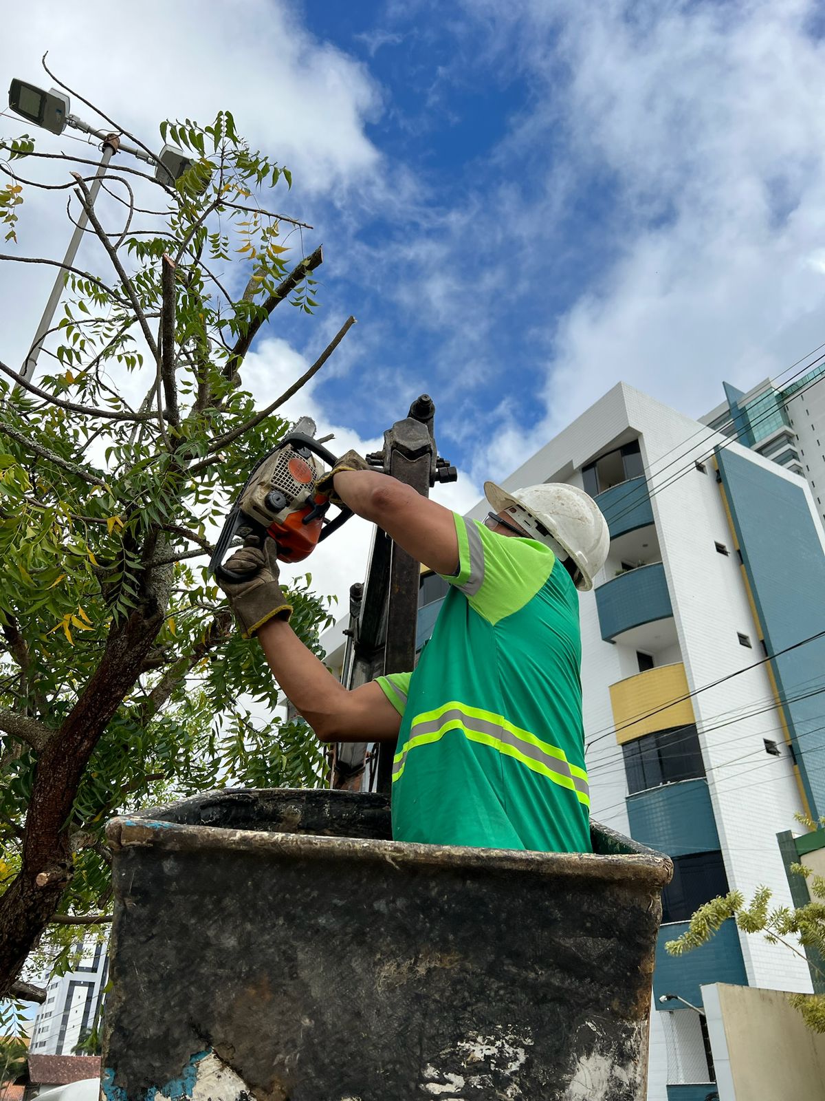 Mais de 900 podas realizadas em agosto reforçam cuidado da Sesuma com segurança e bem-estar da população
