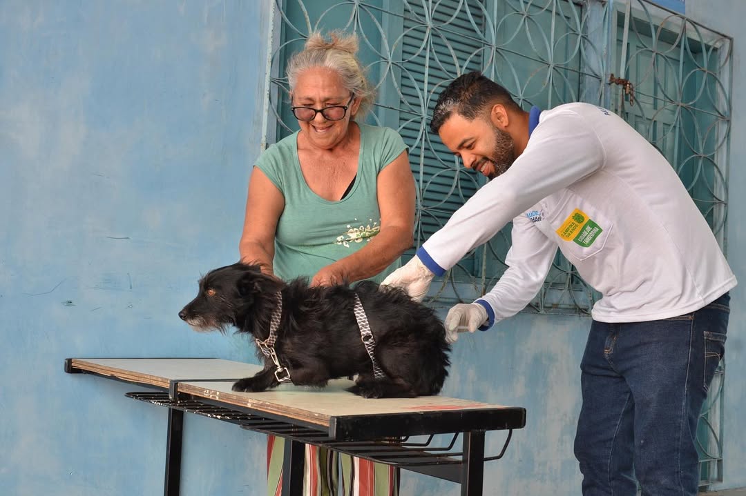 Campina Grande realiza Dia D de Vacinação Antirrábica no próximo sábado