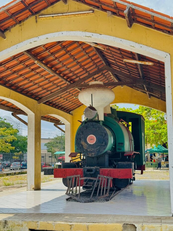 Museus de Campina Grande iniciam atividades alusivas à programação nacional da 19ª Primavera dos Museus