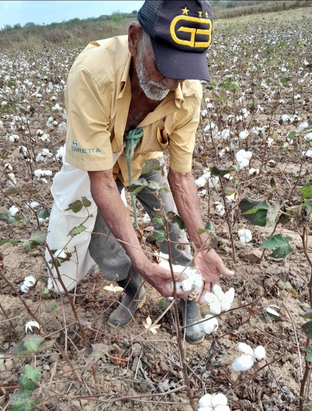 Seagri inscreve agricultores para o projeto Algodão Orgânico da Prefeitura de Campina Grande