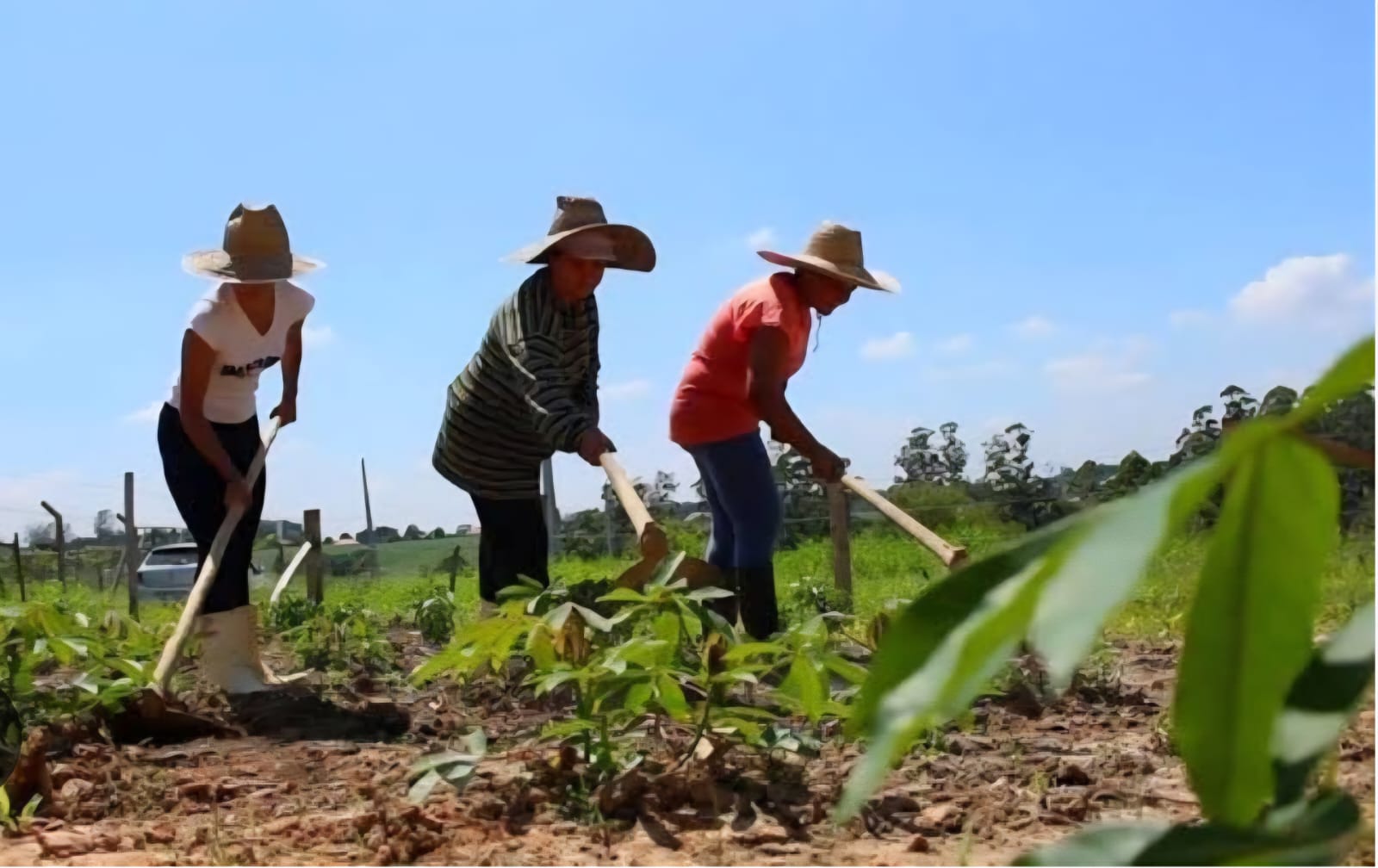 Prefeitura lança projeto de valorização das mulheres da zona rural de Campina Grande