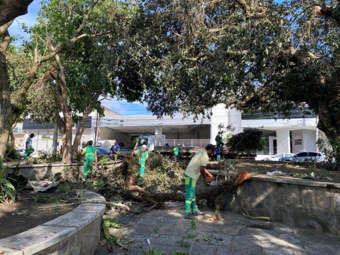 Prefeitura de Campina Grande mantém equipes nas ruas após chuvas intensas e ventos fortes registrados no último domingo