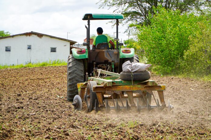 A Prefeitura de Campina Grande intensifica ações de corte de terra e recuperação de estradas