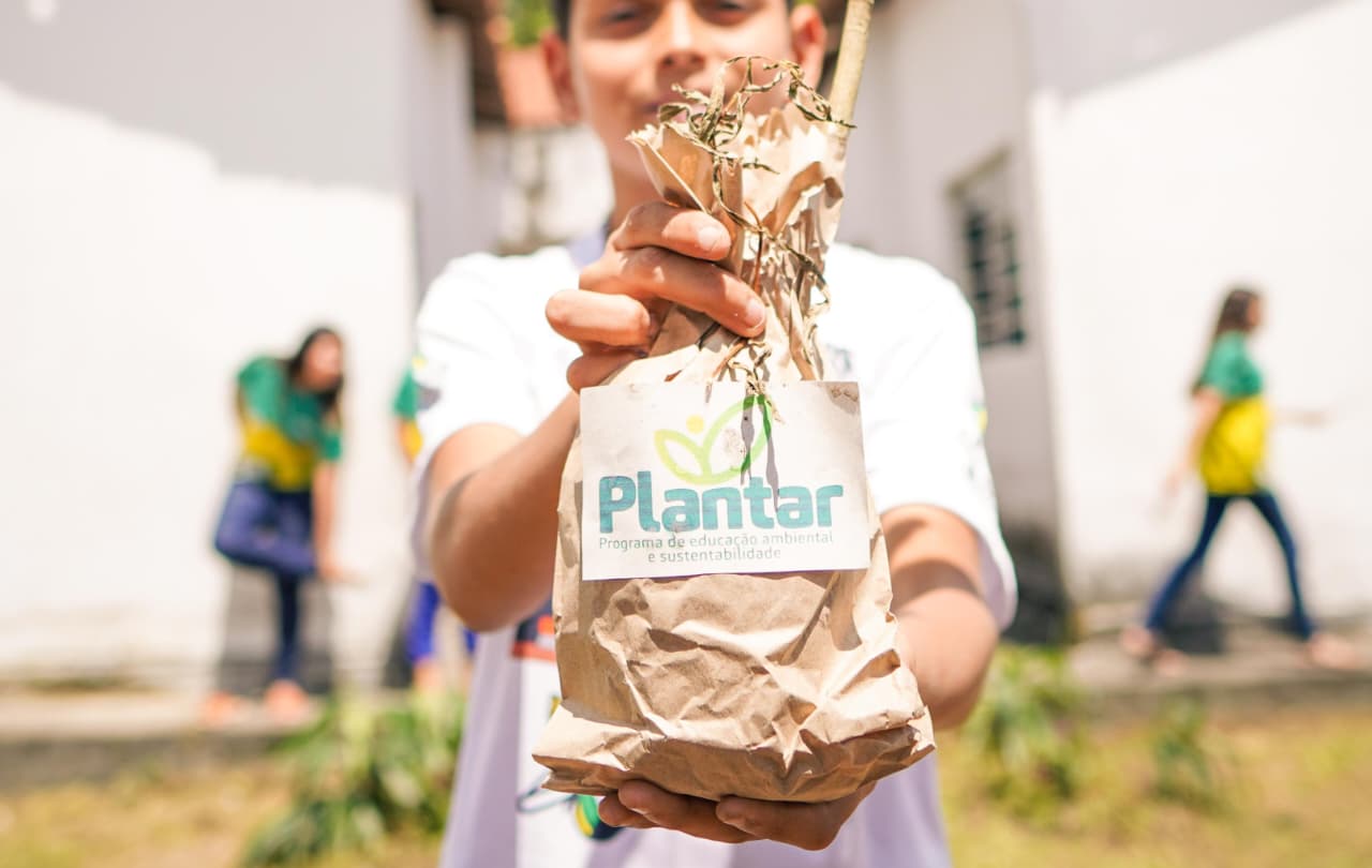 Programa Plantar beneficia 15 mil estudantes e produz 300 quilos de alimentos orgânicos por mês em Campina Grande