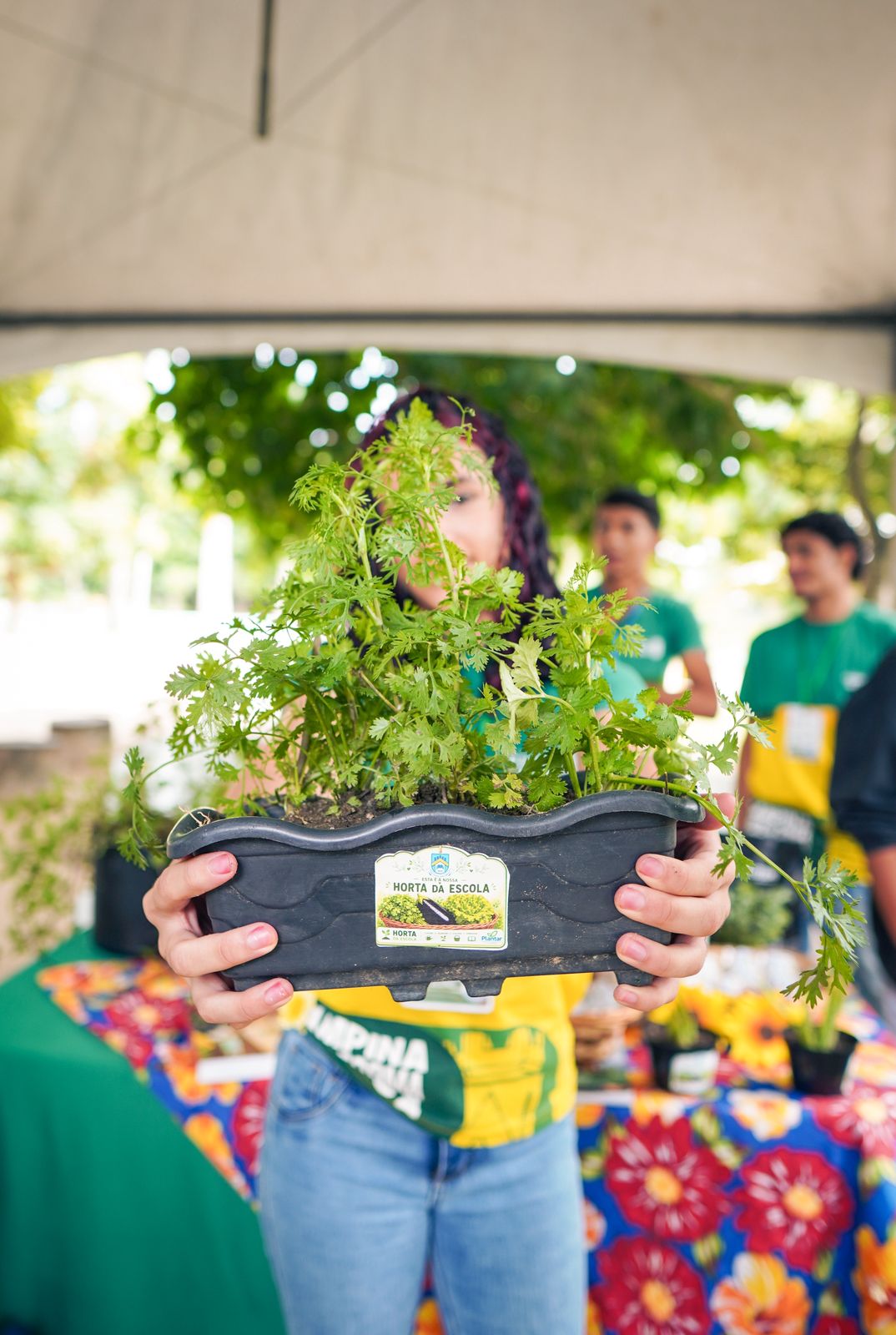 Prefeitura de Campina Grande realiza Seminário de Educação Ambiental e lança Selo Plantar