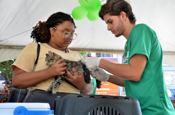 JULHO DOURADO: Centro de Controle de Zoonoses de Campina Grande oferece vacinação antirrábica gratuita para cães e gatos, sem necessidade de agendamento