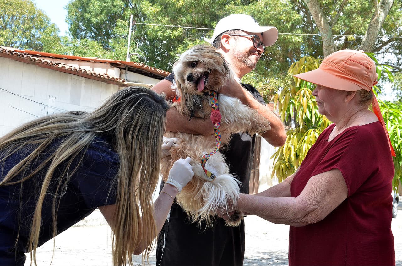 Prefeitura de Campina Grande realiza segundo Dia D de Vacinação Antirrábica neste sábado (12)