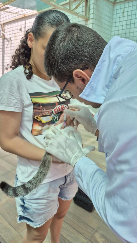 Campina Grande aplica mais de 23 mil doses de vacina antirrábica no segundo Dia D da campanha para imunizar cães e gatos